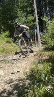IMG 4378